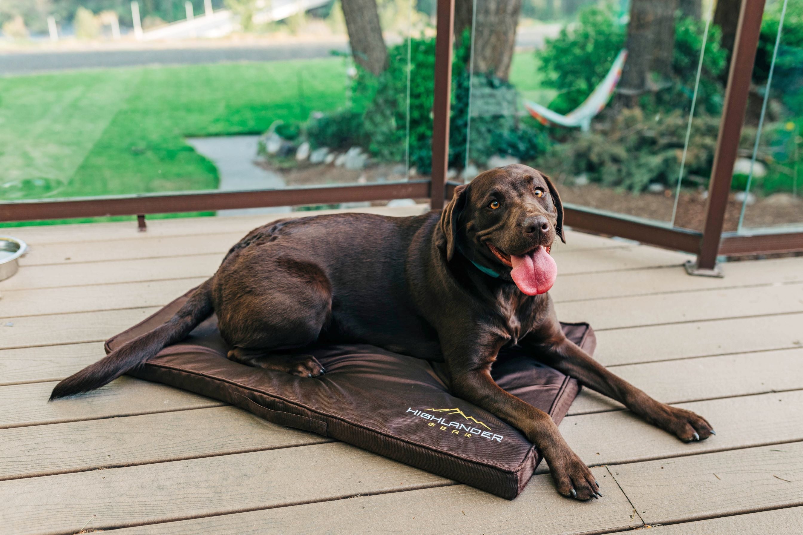 Kennel Beds