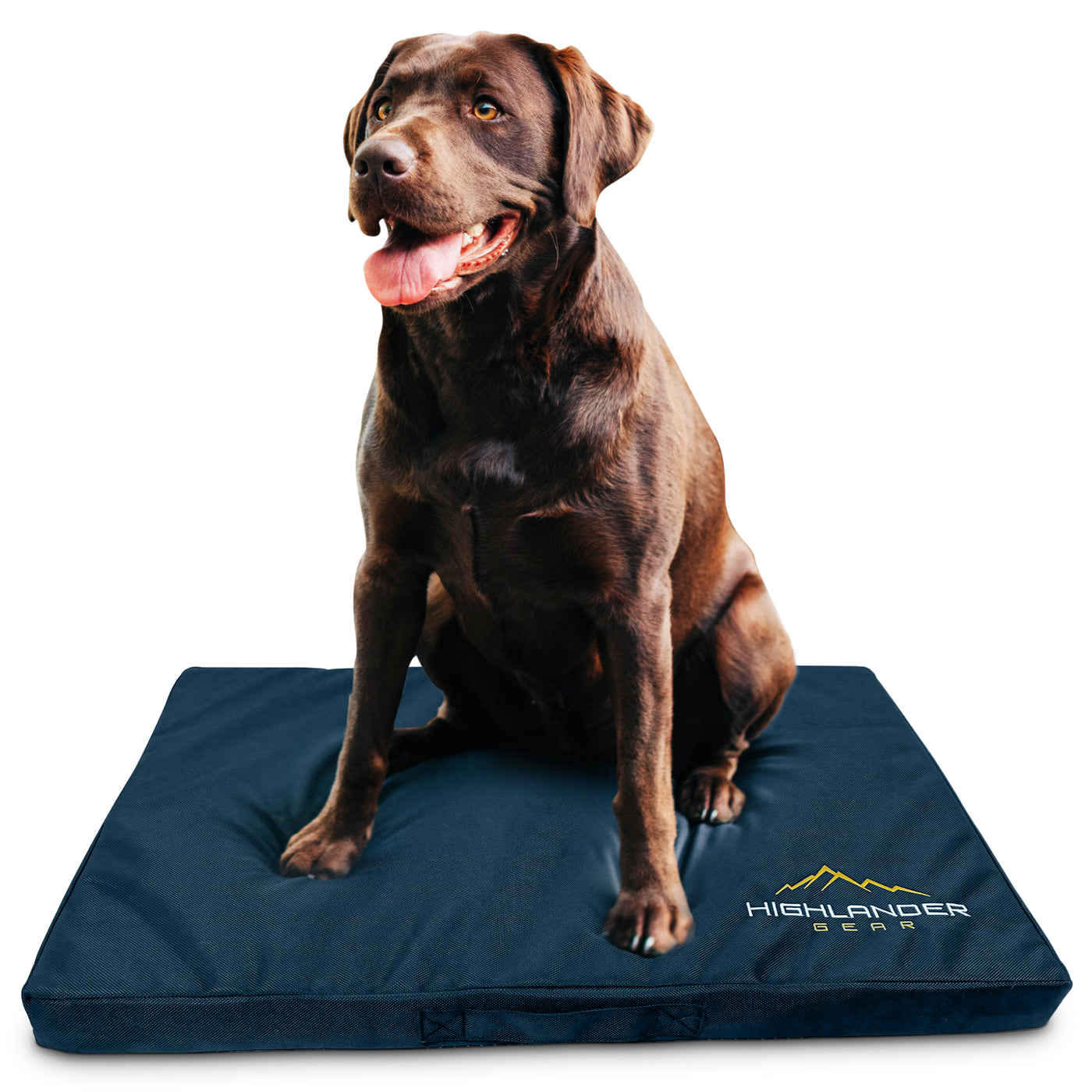 Waterproof Dog Mat